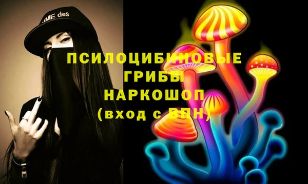 дмт Алексин