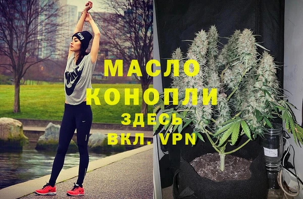 дмт Алексин