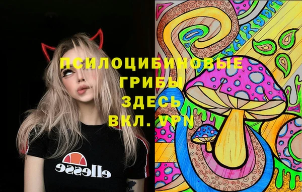 MDMA Premium VHQ Алзамай
