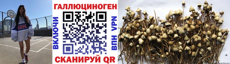 Псилоцибиновые грибы Magic Shrooms  ссылка на мегу ссылка  Апрелевка 