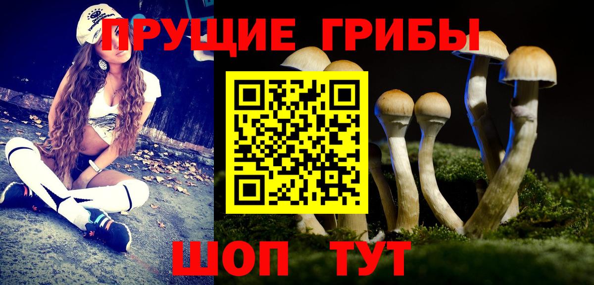 Псилоцибиновые грибы GOLDEN TEACHER Апрелевка